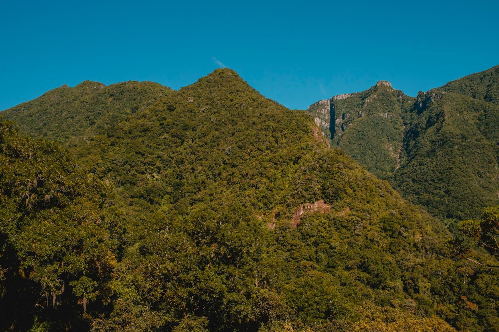 Pousada Bugio Da Serra Novo Horizonte  Exteriér fotografie